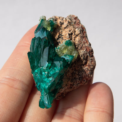 Dioptase Specimen