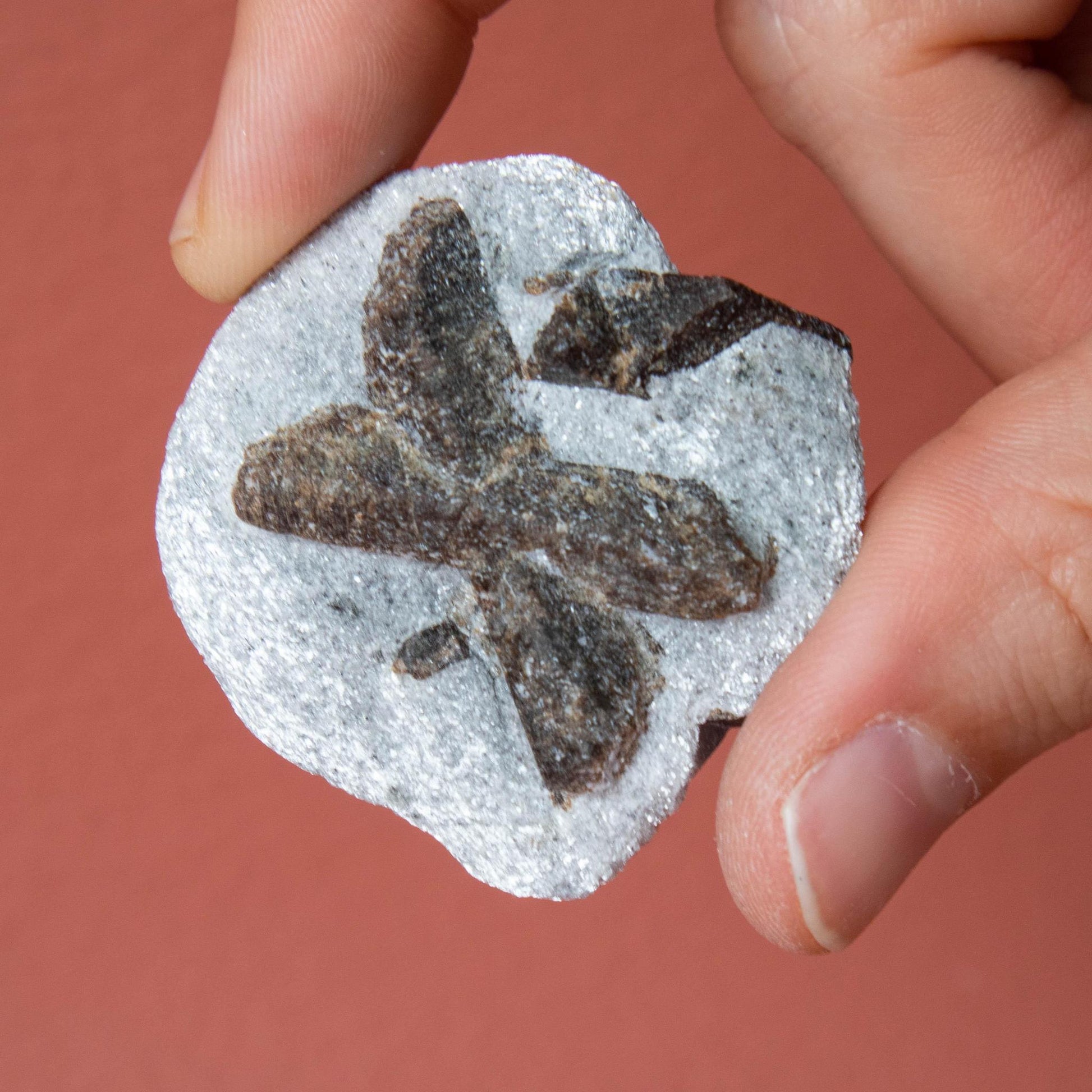 staurolite, staurolite specimen, crystal specimen, staurolite crystal, staurolite stone, staurolite properties, staurolite healing properties, staurolite meaning