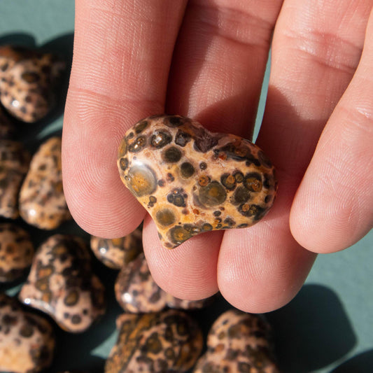 leopard skin jasper, leopard skin jasper heart, crystal heart, leopard skin jasper crystal, leopard skin jasper stone, leopard skin jasper properties, leopard skin jasper healing properties, leopard skin jasper metaphysical properties, leopard skin jasper meaning